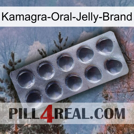 Kamagra-Oral-Jelly-Brand 30